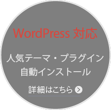 WordPress対応　人気テーマやプラグインも自動インストール